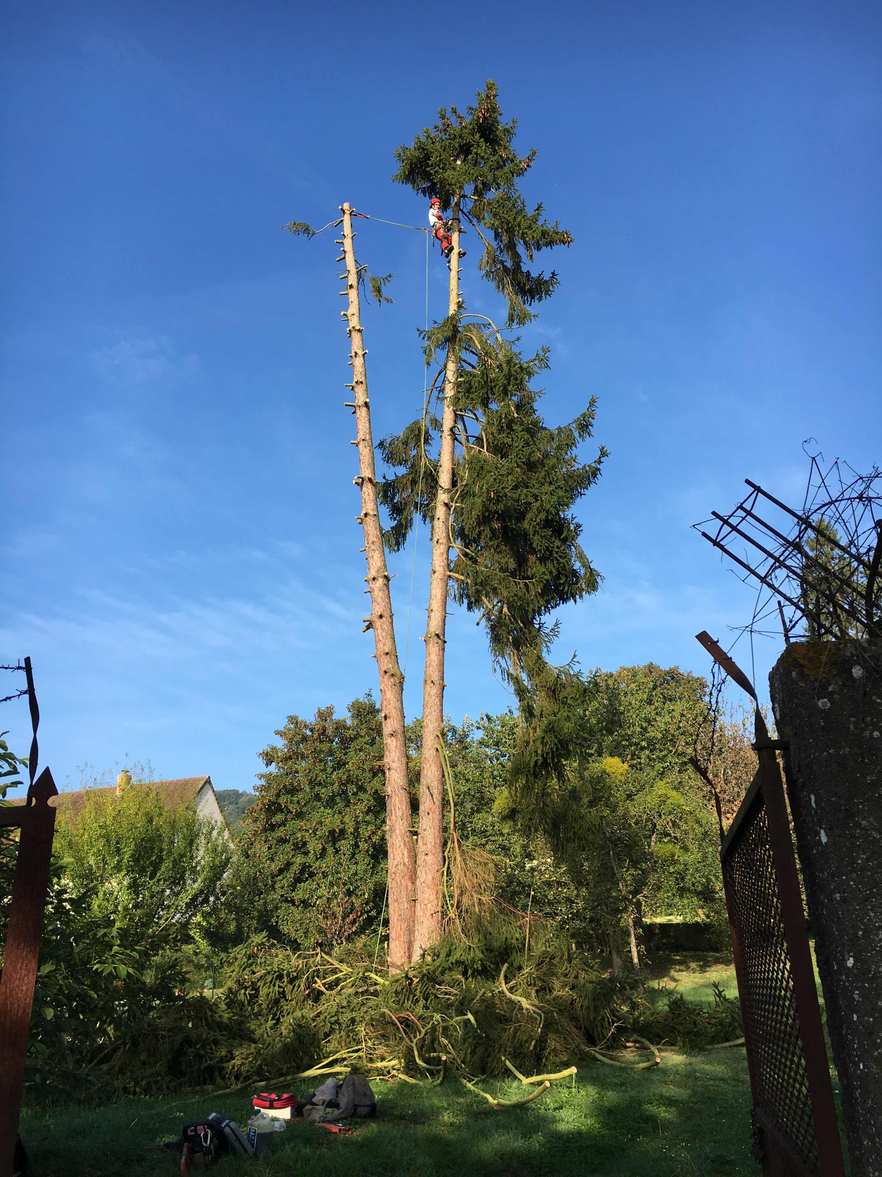 elagage abattage Jolgonne 02850